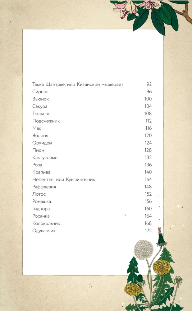 Тайны цветов. Мифы, сказки, легенды. Подарочная книга с цветными авторскими иллюстрациями
